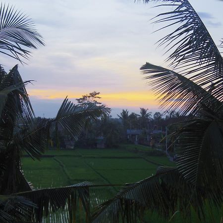 Eden House Ubud Exterior photo