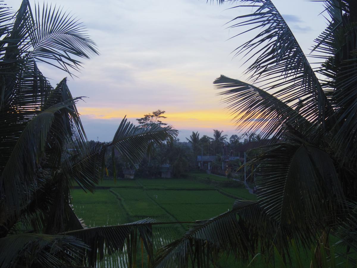 Eden House Ubud Exterior photo
