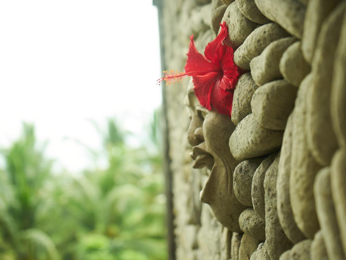 Eden House Ubud Exterior photo