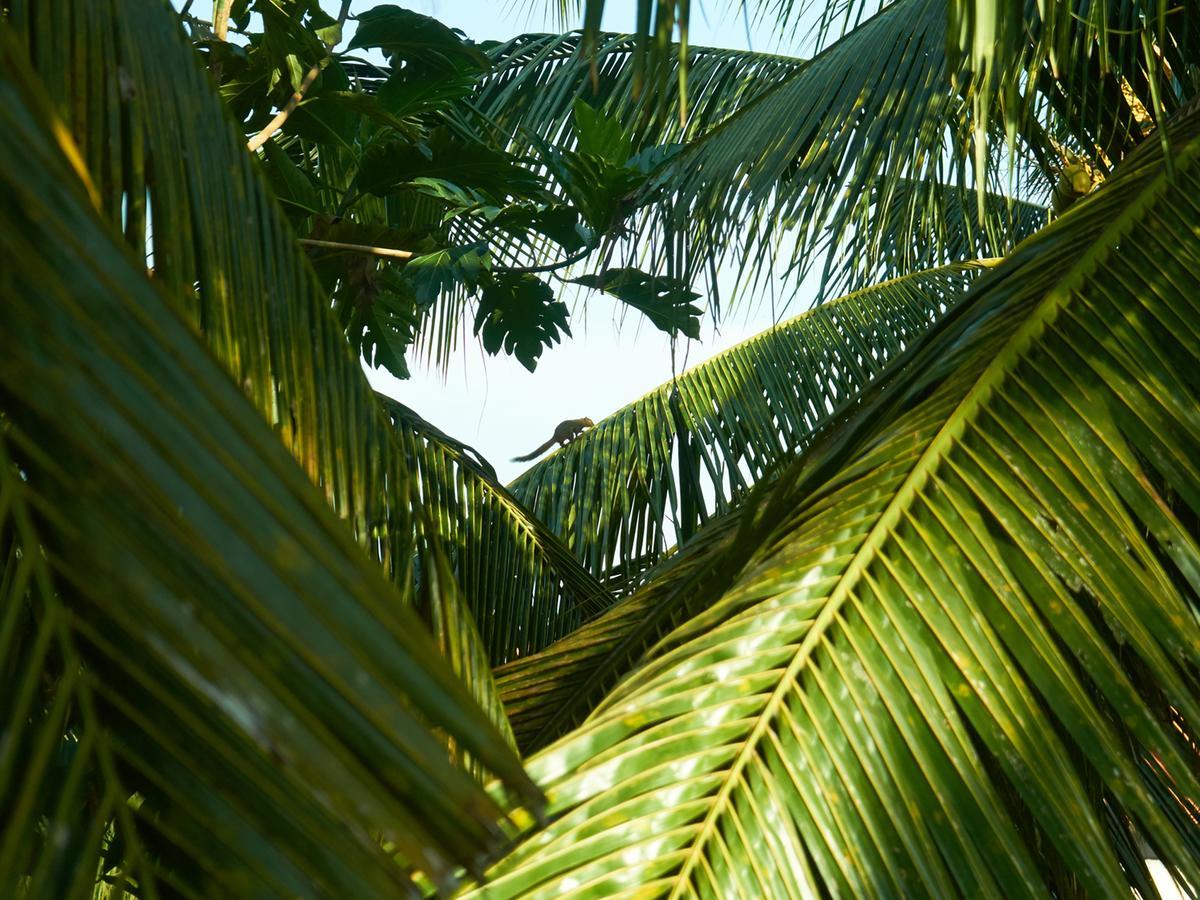 Eden House Ubud Exterior photo